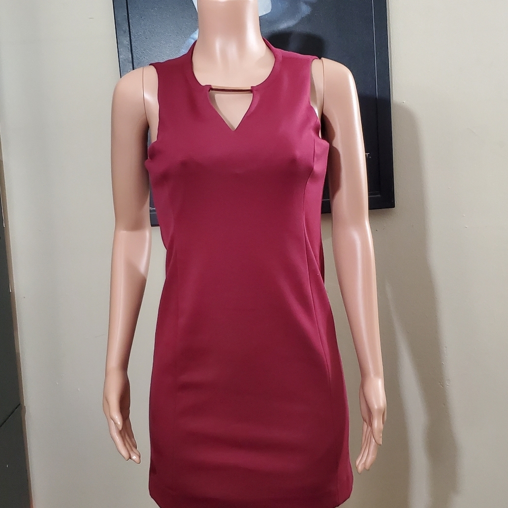 Maroon mini Dress
